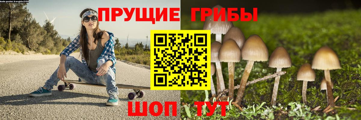 Псилоцибиновые грибы ЛСД Владивосток