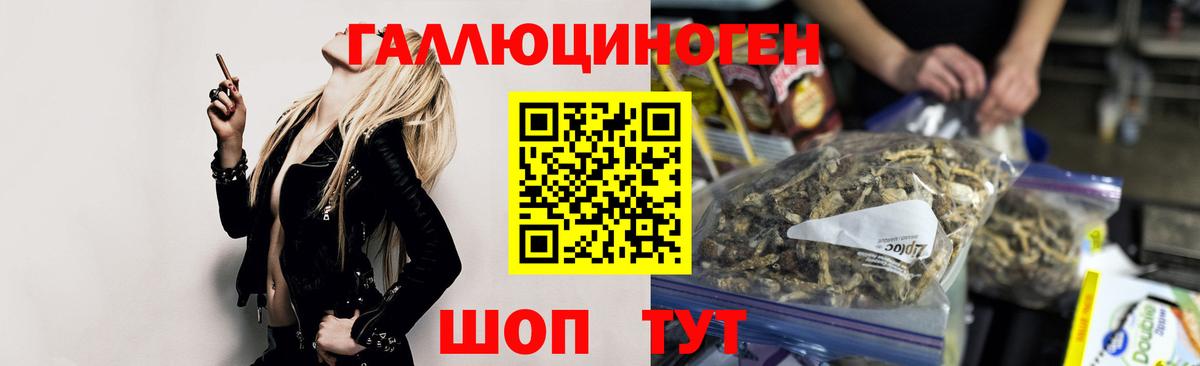 магазин    Псилоцибиновые грибы GOLDEN TEACHER  Вход с VPN  Галлюциногенные грибы мухоморы  Владивосток 